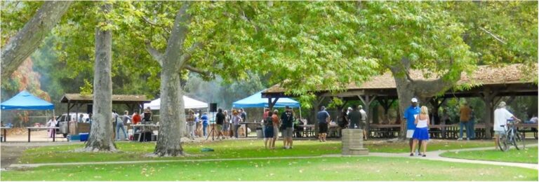 A community gathering at a local park with individuals and families engaging in various activities such as walking, talking, and manning stalls under gazebos and trees.