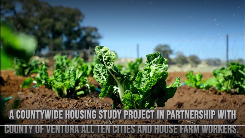 Kale plants growing in soil with text overlay about a countywide housing study project in partnership with Ventura County including all cities and house farm workers