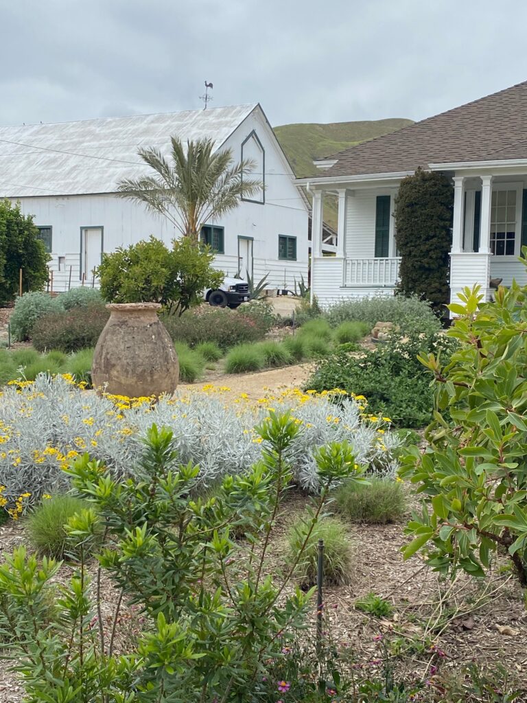 View of landscaped garden with various plants, and a large vase, at the Lloyd Butler House