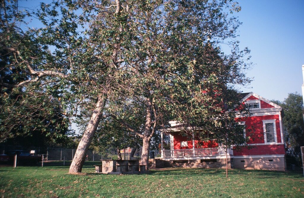 Red Santa Clara Schoolhouse surrounded by mature trees and grass, 1982.