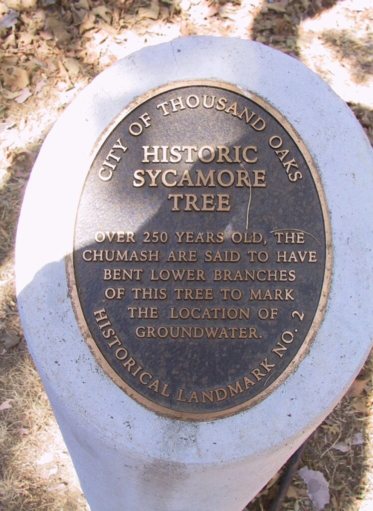 Plaque marking historic sycamore tree in Thousand Oaks, 2012.