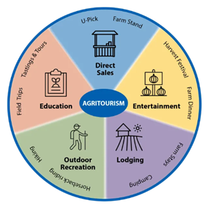 Wheel chart with examples of agricultural tourism activities