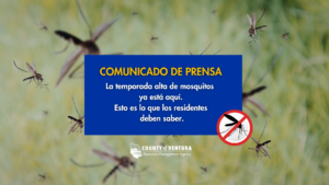 Gráfico de comunicado de prensa del Condado de Ventura para la temporada pico de mosquitos, con un recuadro azul con texto amarillo "COMUNICADO DE PRENSA", el logotipo del condado y un símbolo de prohibición de mosquitos sobre un fondo de mosquitos voladores.