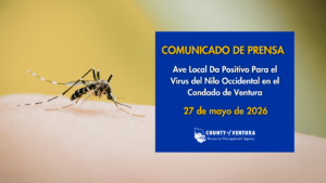 Comunicado de prensa del Condado de Ventura sobre ave local positiva para el virus del Nilo Occidental, fecha 27 de mayo de 2026. Mosquito sobre piel en el lado izquierdo, fondo amarillo.
