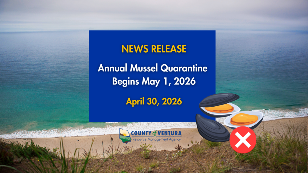News release from Ventura County Resource Management Agency announcing annual mussel quarantine starting May 1, 2026, dated April 30, 2026, with beach background and mussel icons including a red X.