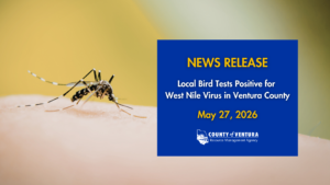 A mosquito on human skin with a blue news release box stating "Local Bird Tests Positive for West Nile Virus in Ventura County" dated May 27, 2026, from Ventura County Resource Management Agency.