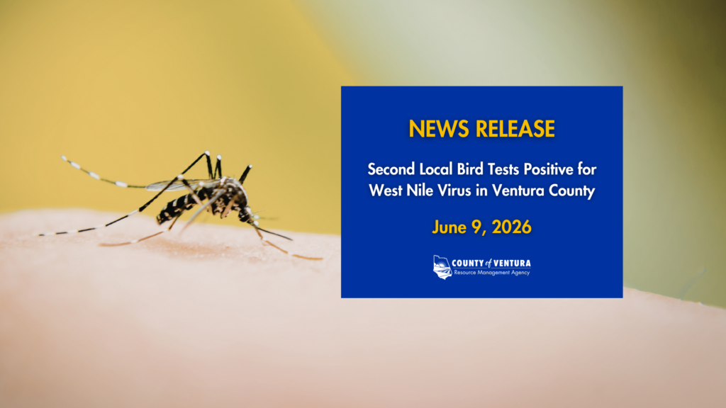A mosquito on human skin with a blue news release box stating "Second Local Bird Tests Positive for West Nile Virus in Ventura County" dated May 27, 2026, from Ventura County Resource Management Agency.
