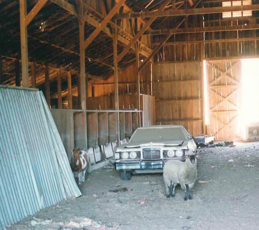 Interior of a 1980s ranch barn featuring a vintage car, sheep, and pony near corrugated metal and wooden beams on a dirt floor.