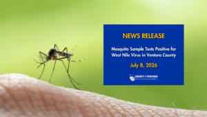 A mosquito on human skin with a blue news release box stating "Second Local Bird Tests Positive for West Nile Virus in Ventura County" dated July 08, 2026, from Ventura County Resource Management Agency.