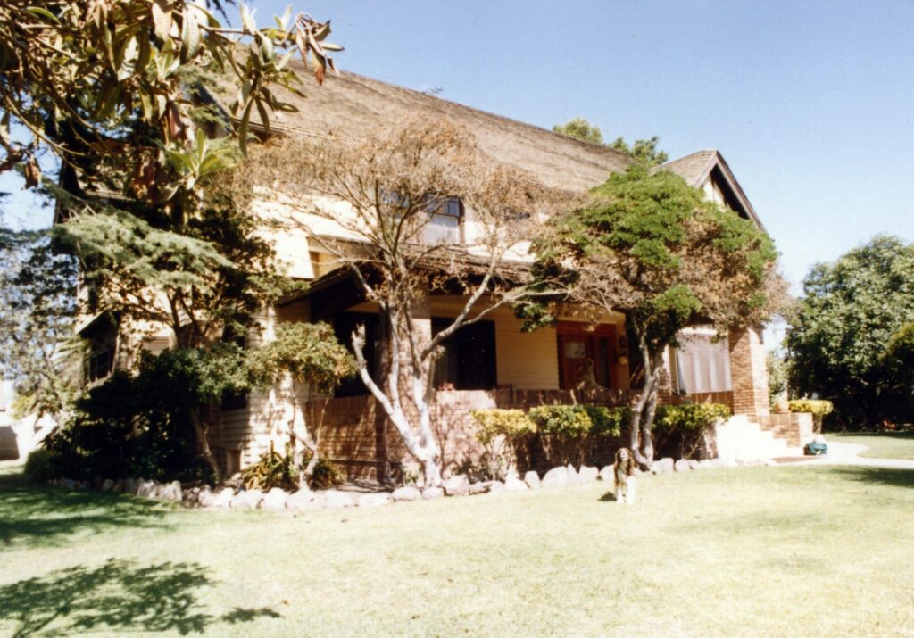 Two-story Henry Levy House from the 1980s, surrounded by trees and a lawn with a dog in the yard.
