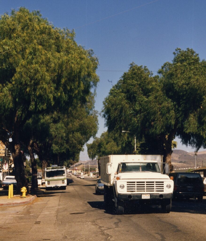 High Street in 1985 features pepper trees lining the road, with a white delivery truck, green-and-white bus, and other vehicles under a clear blue sky.