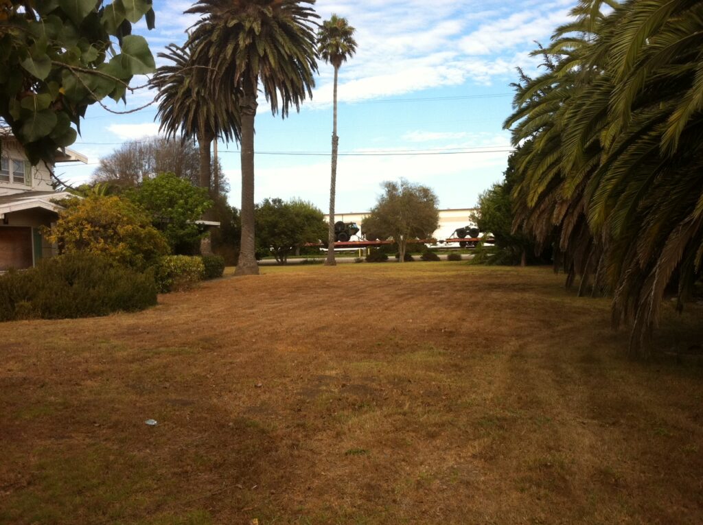 A dry grassy area with palm trees, bushes, and a house on the left, under a partly cloudy sky. Site landscaping from 2021.