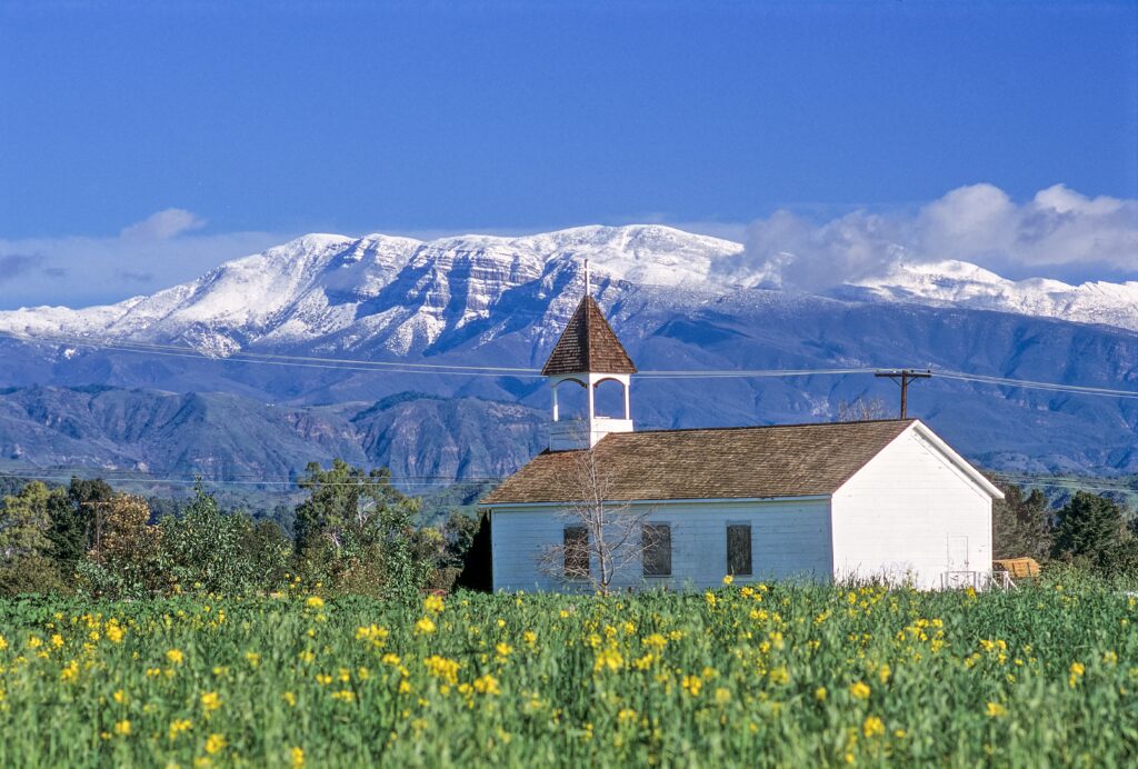 White Sacred Heart Mission Church with brown shingled roof and steeple stands in a field of yellow flowers, with snow-capped mountains and clear blue sky in the background.