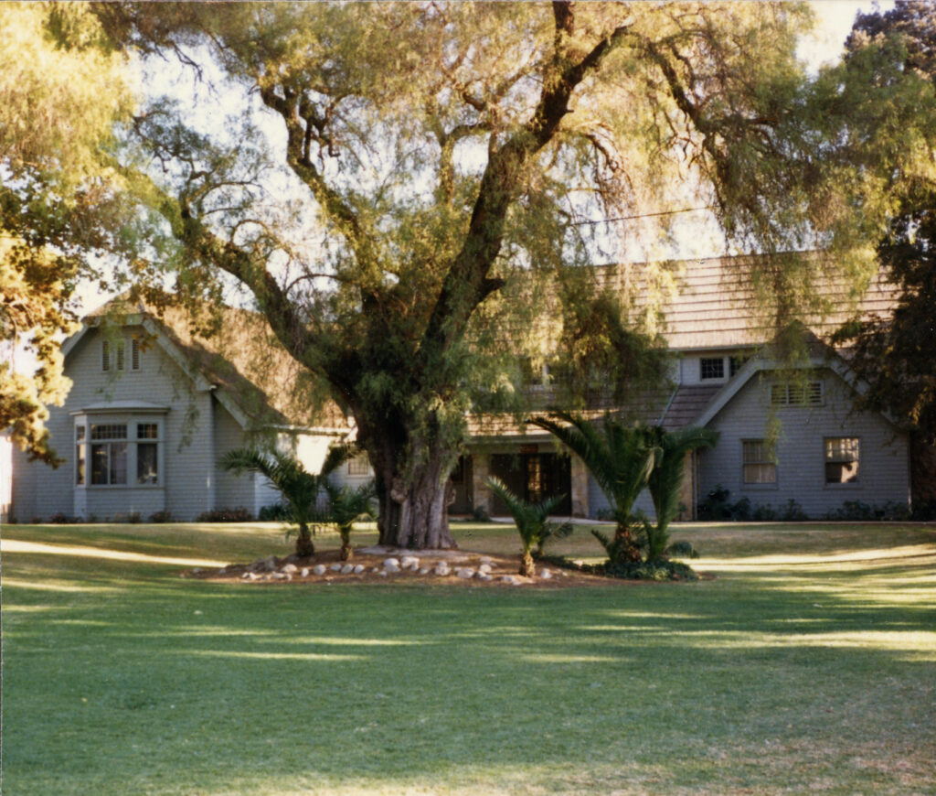 A light blue house with a shingled roof and a large, leafy tree in the front yard, surrounded by palm plants and a well-maintained lawn. The Santa Paula Ebell Club, circa 1980s.