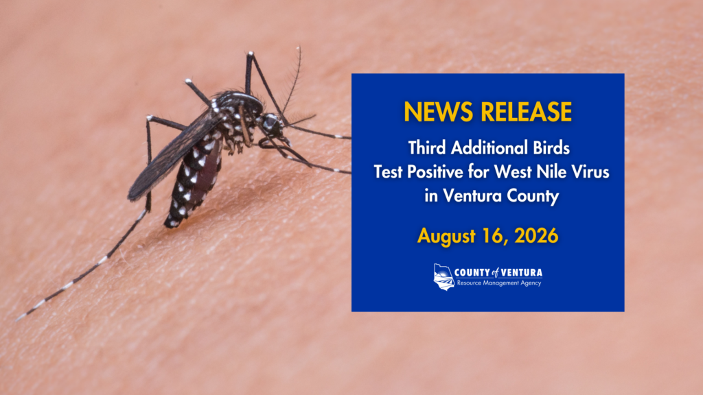 Mosquito on human skin beside blue news release box with yellow text announcing third additional birds testing positive for West Nile virus in Ventura County on August 16, 2026.