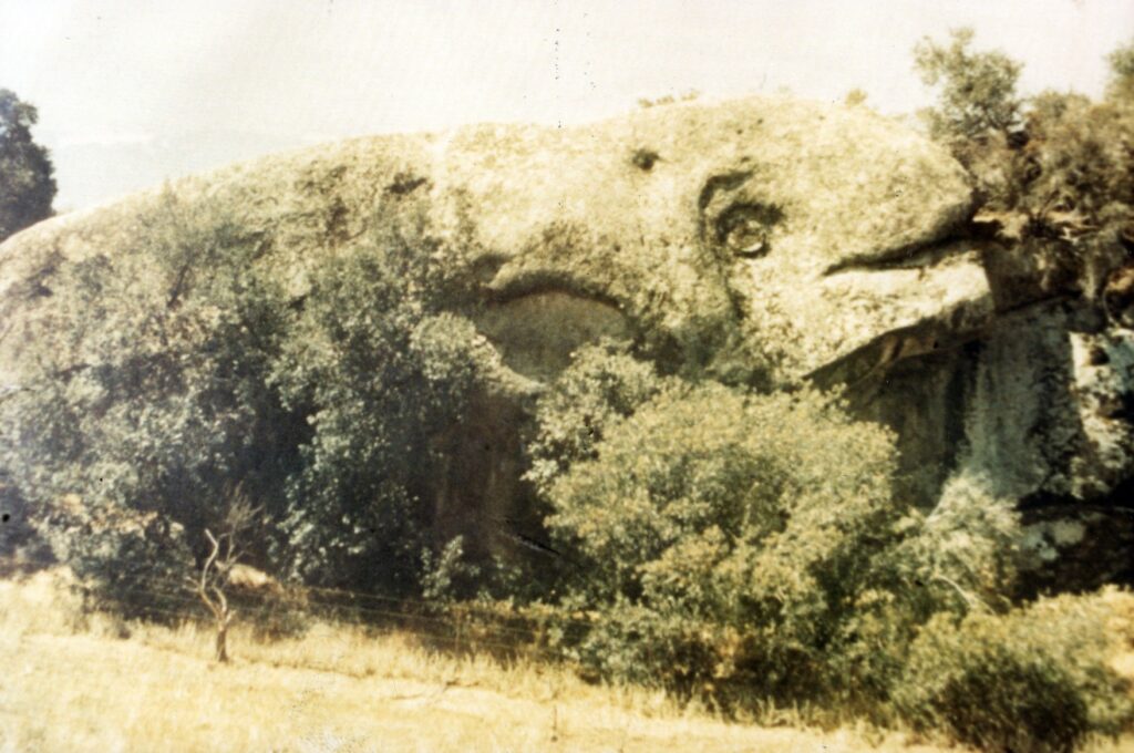 Whale Rock, a large natural formation resembling a whale, surrounded by vegetation in a sepia photograph.