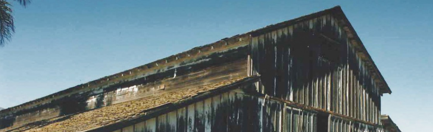 A weathered barn with rusted metal siding, overgrown dry grass, and scattered farm equipment including barrels and a blue container, part of the Dos Vientos Ranch circa 1980s.