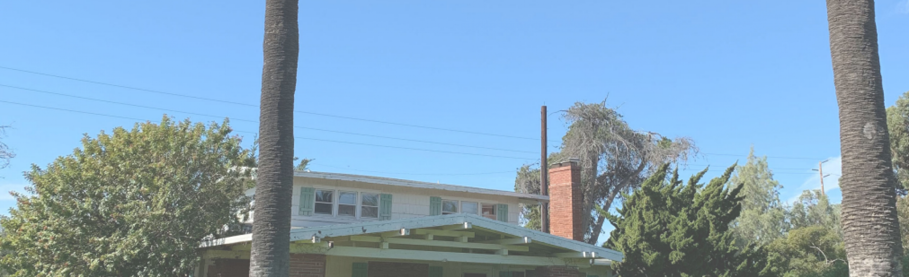 Single-story Farrell House with white exterior, green shutters, and brick chimney surrounded by palm trees and a green lawn. Credit: Heritage Architecture & Planning, 2019.
