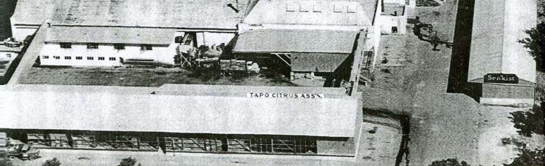 Aerial view of Tapo Citrus Association packing house, surrounded by orchards.
