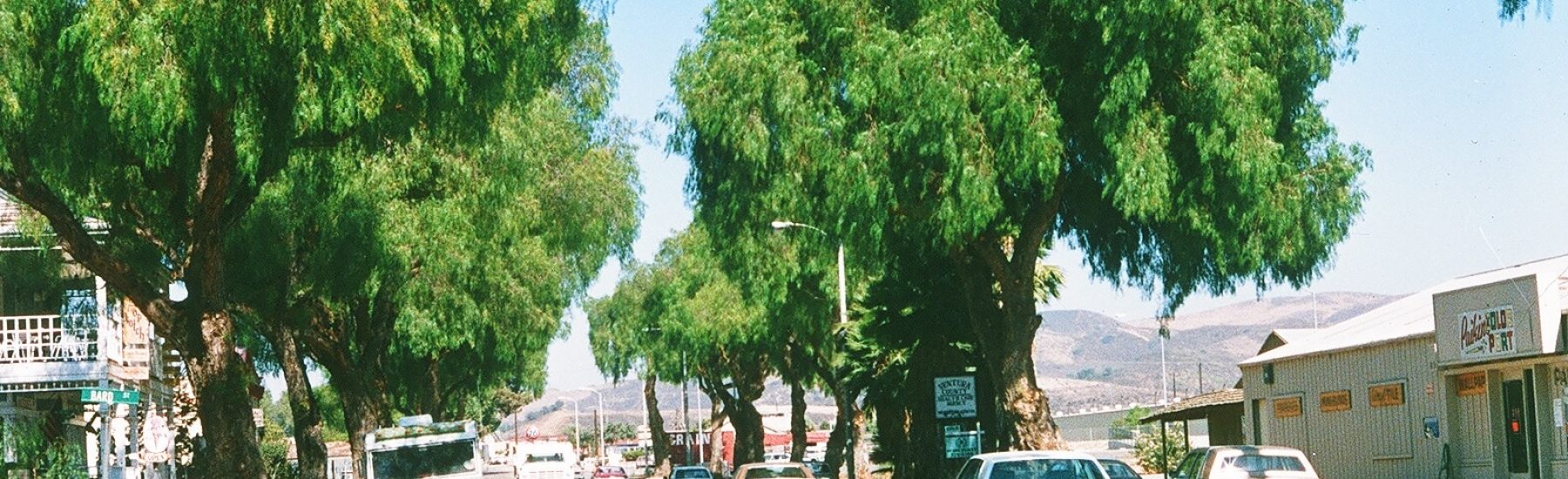 A street scene with pepper trees lining High Street in 1985, featuring cars on the road, buildings with signage, and a clear blue sky.