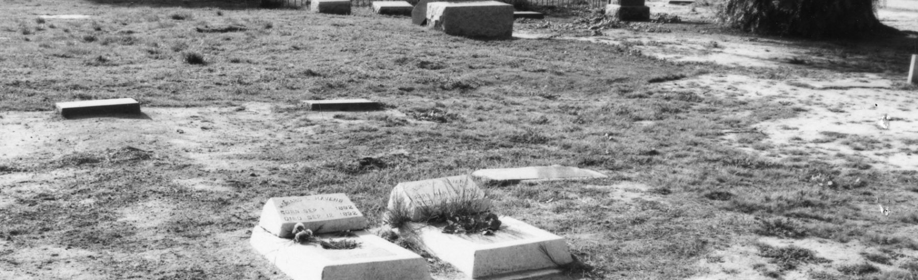 Black-and-white vintage photograph of a 1980s cemetery with scattered gravestones, grassy terrain, and trees, featuring weathered headstones and a distant fence.