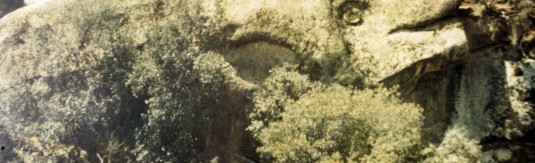 A large rock formation shaped like a whale, partially covered by trees and shrubs in a dry landscape.